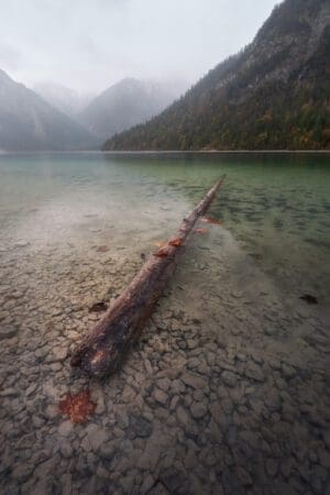 Plansee