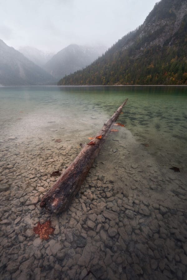Plansee