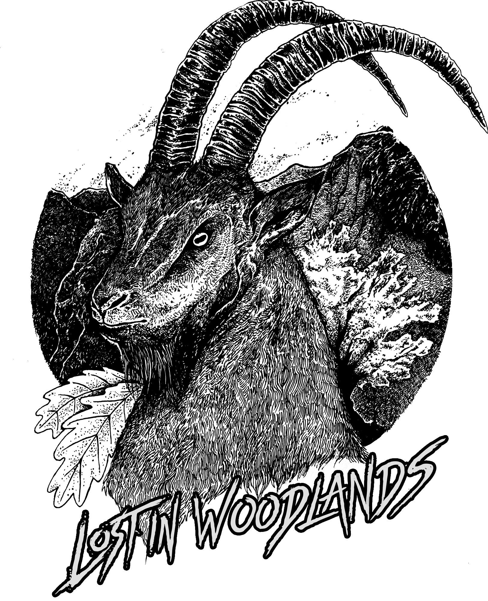 Lost in Woodlands
