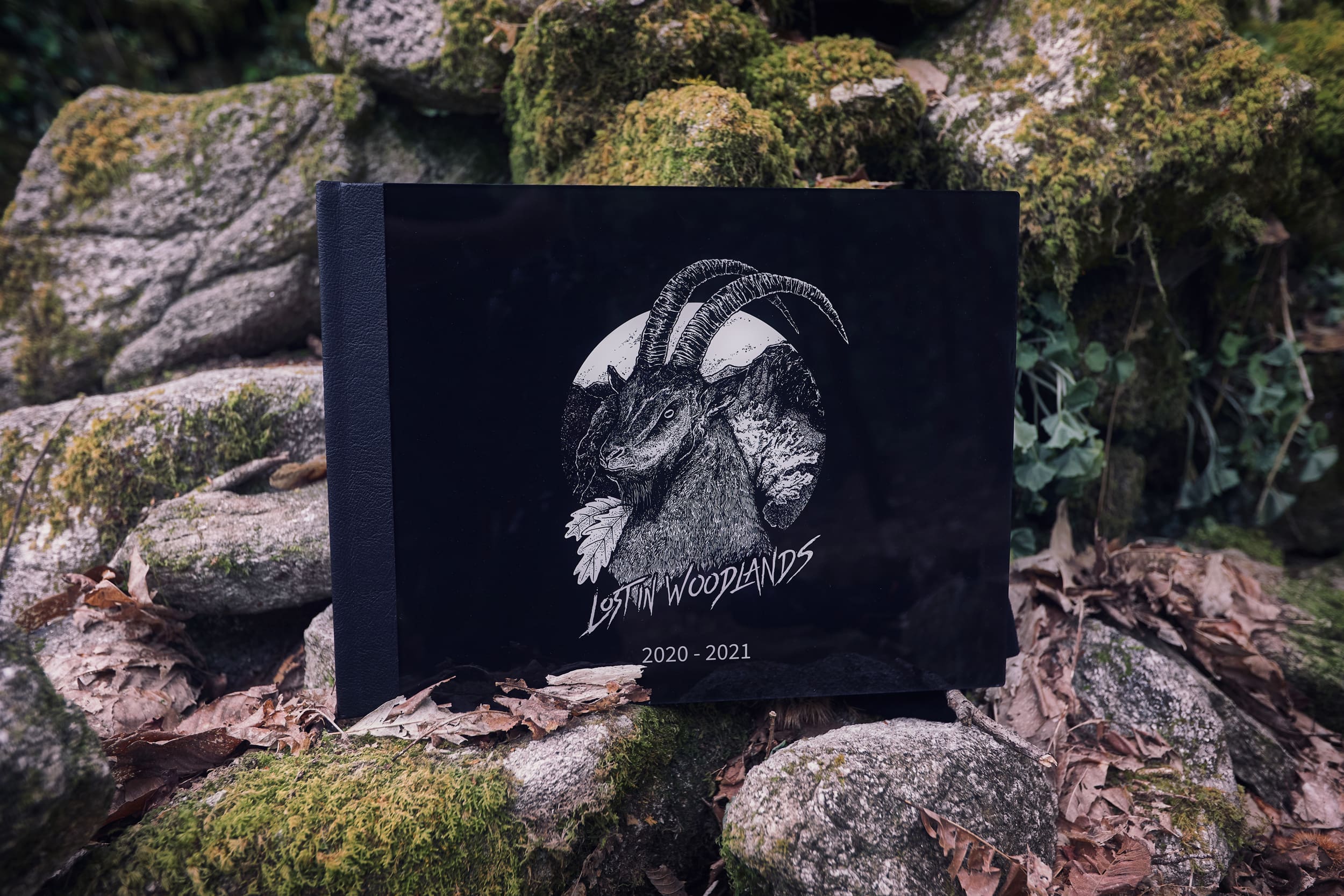 Lost in Woodlands Book